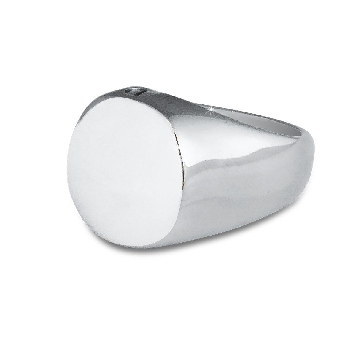 Mens Cremation Ring Steel Keepsake Size -10.5